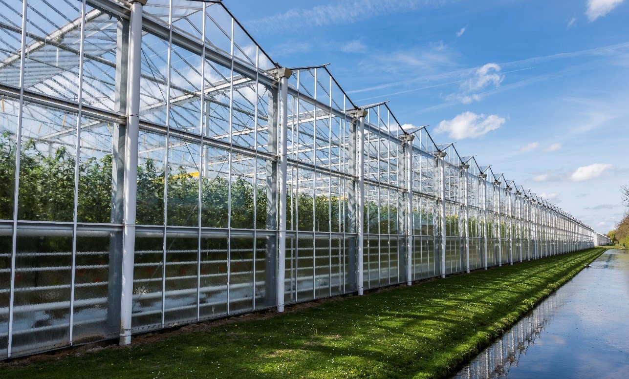Glass house used in horticulture
